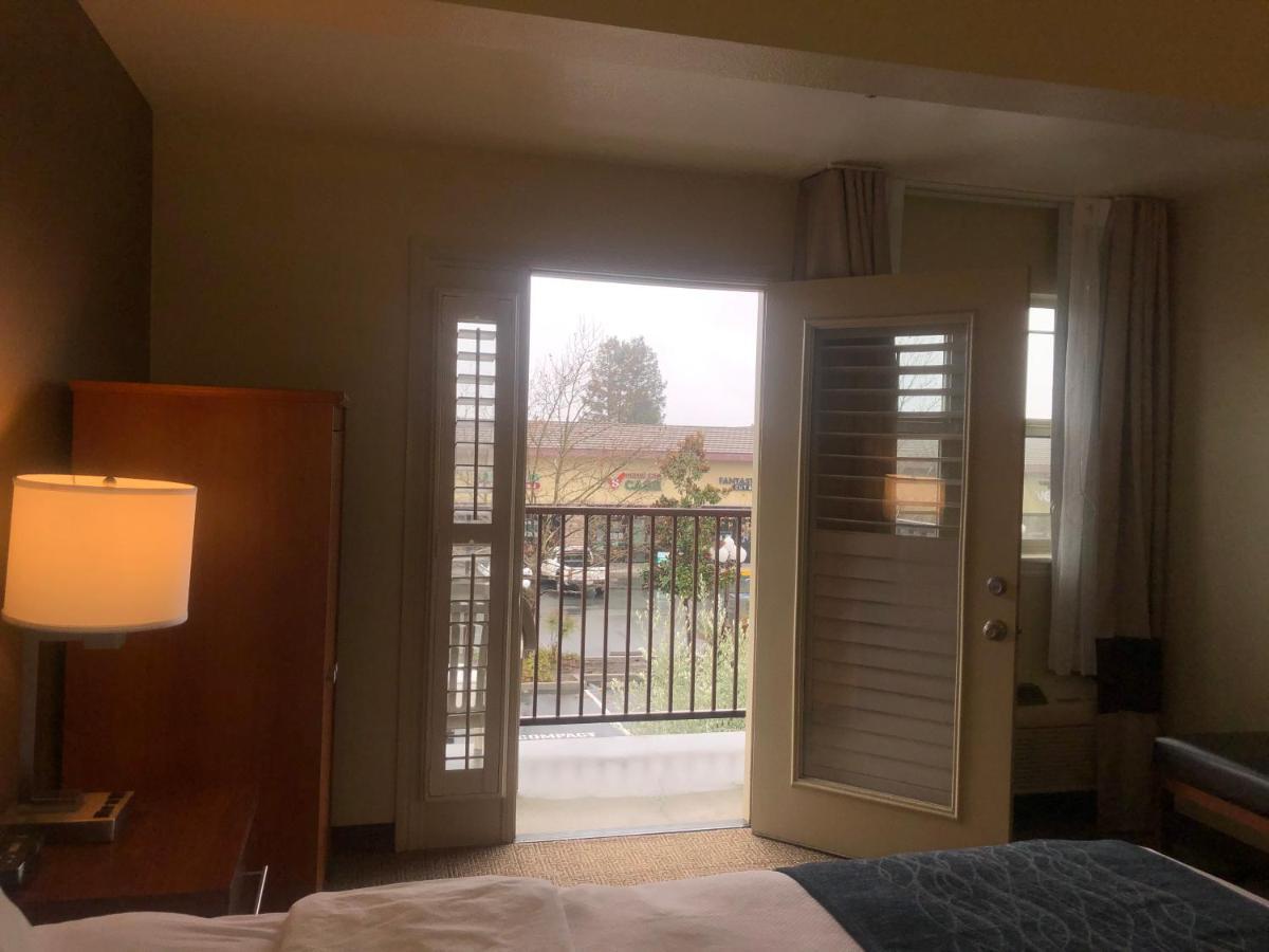 Comfort Inn & Suites Ukiah Mendocino County מראה חיצוני תמונה